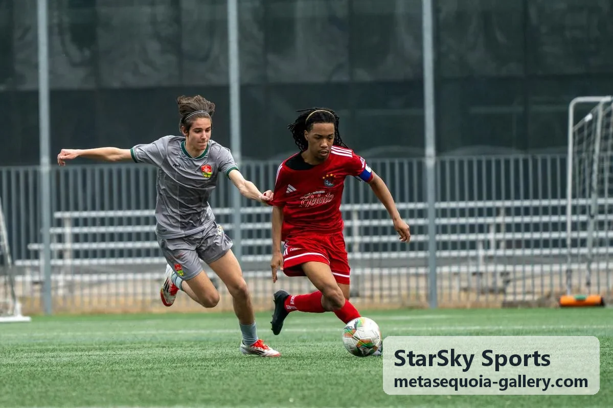 StarSky Sports 星空体育客户端赛事数据总览界面