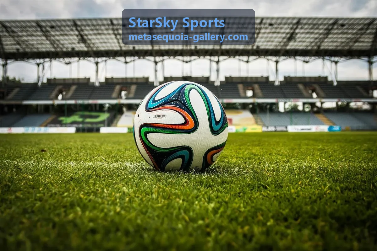 StarSky Sports 运动装备参数测量与适配场景