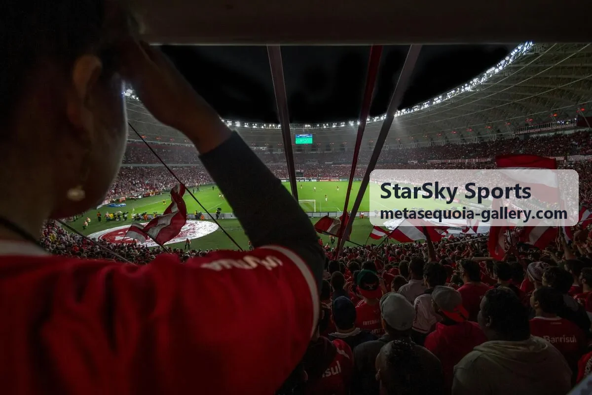 StarSky Sports 运动装备与器材参考封面图