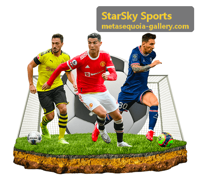 StarSky Sports 星空体育队伍数据面板页面