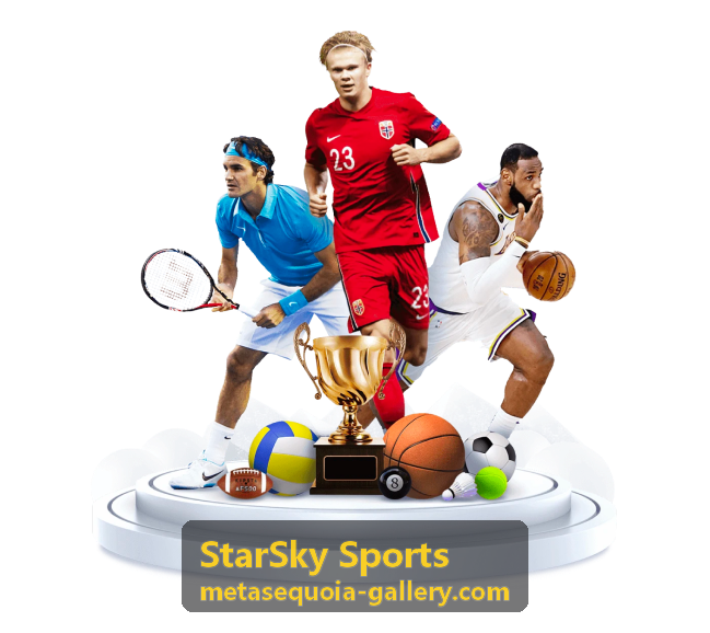 StarSky Sports 运动装备之筋膜放松滚轴