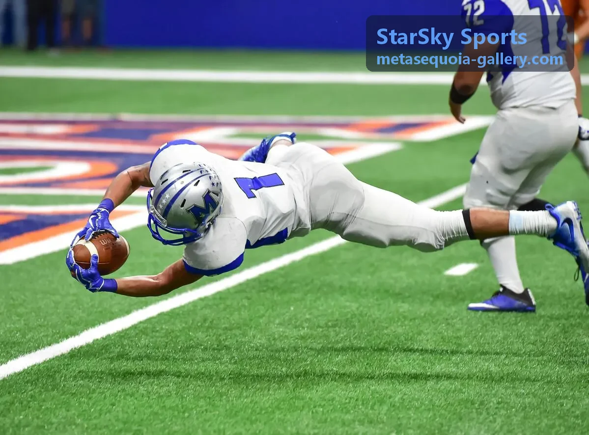 StarSky Sports 训练课程技战术对抗演练分组练习